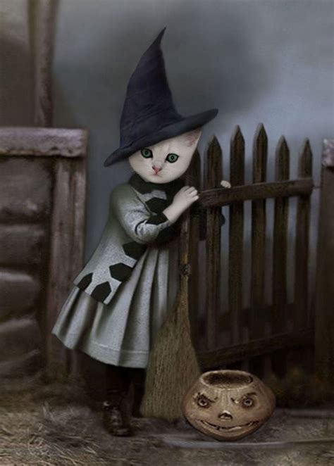 Witch cat pax
